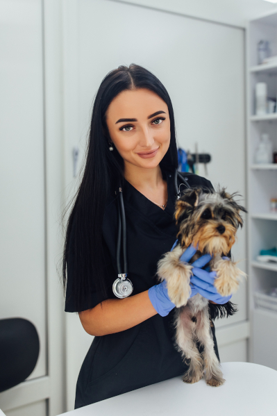 Clínicas Veterinárias